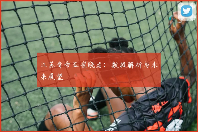 江苏肯帝亚崔晓龙：数据解析与未来展望